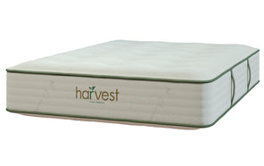 Thumbnail of: Harvest Green Original (Double-Sided)