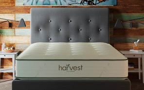 Thumbnail of: Harvest Green Original (Double-Sided)