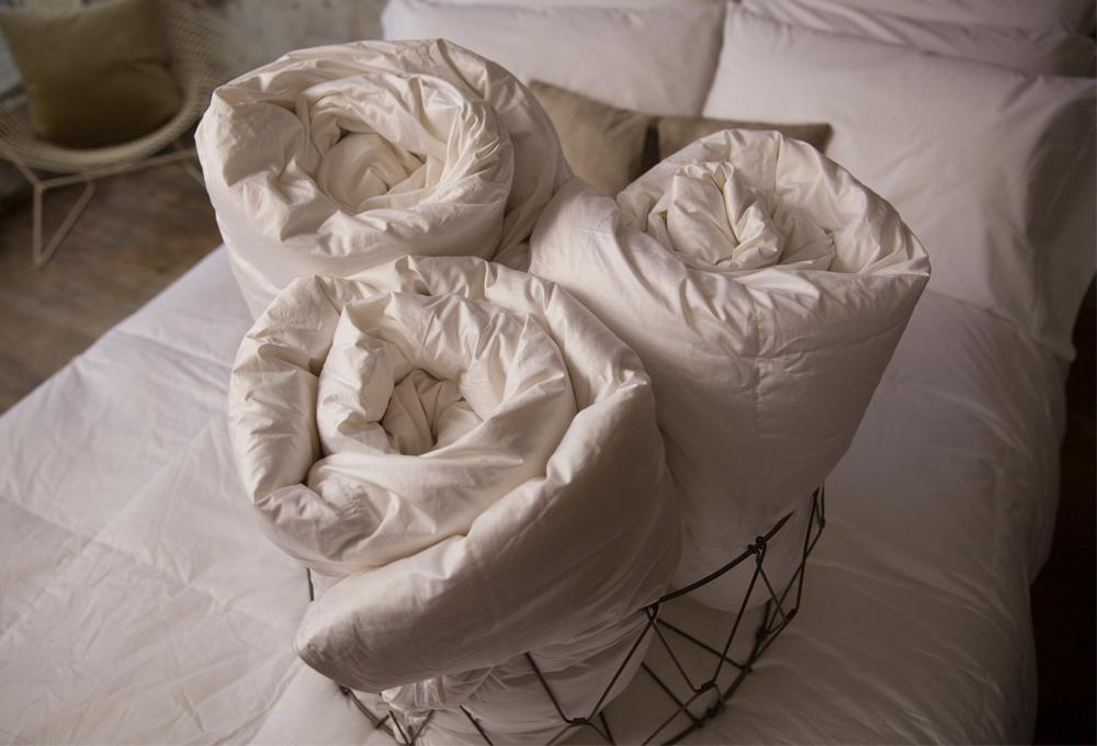 Down Duvet