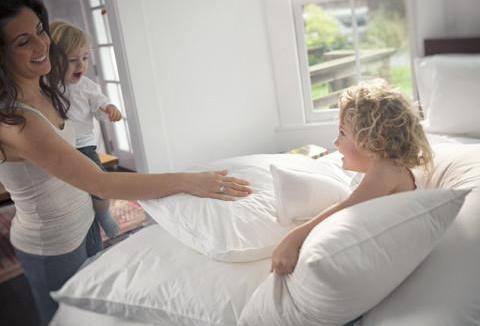 Pillow Protectors