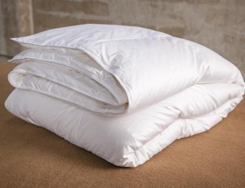 Down Alternative Duvet