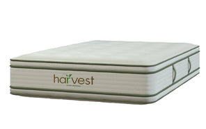 Thumbnail of: Harvest Green Pillow Top (Double-Sided)